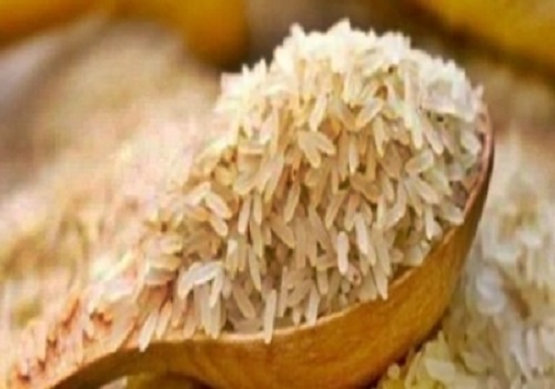 Government may lower basmati rice export price by $300 per tonne