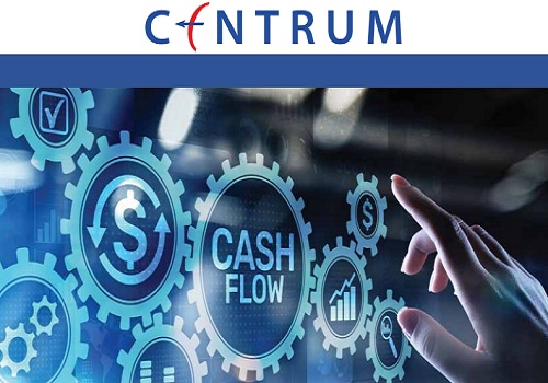 The Blue Book 2023 : Putting 10-year cash flows in perspective By Centrum Broking